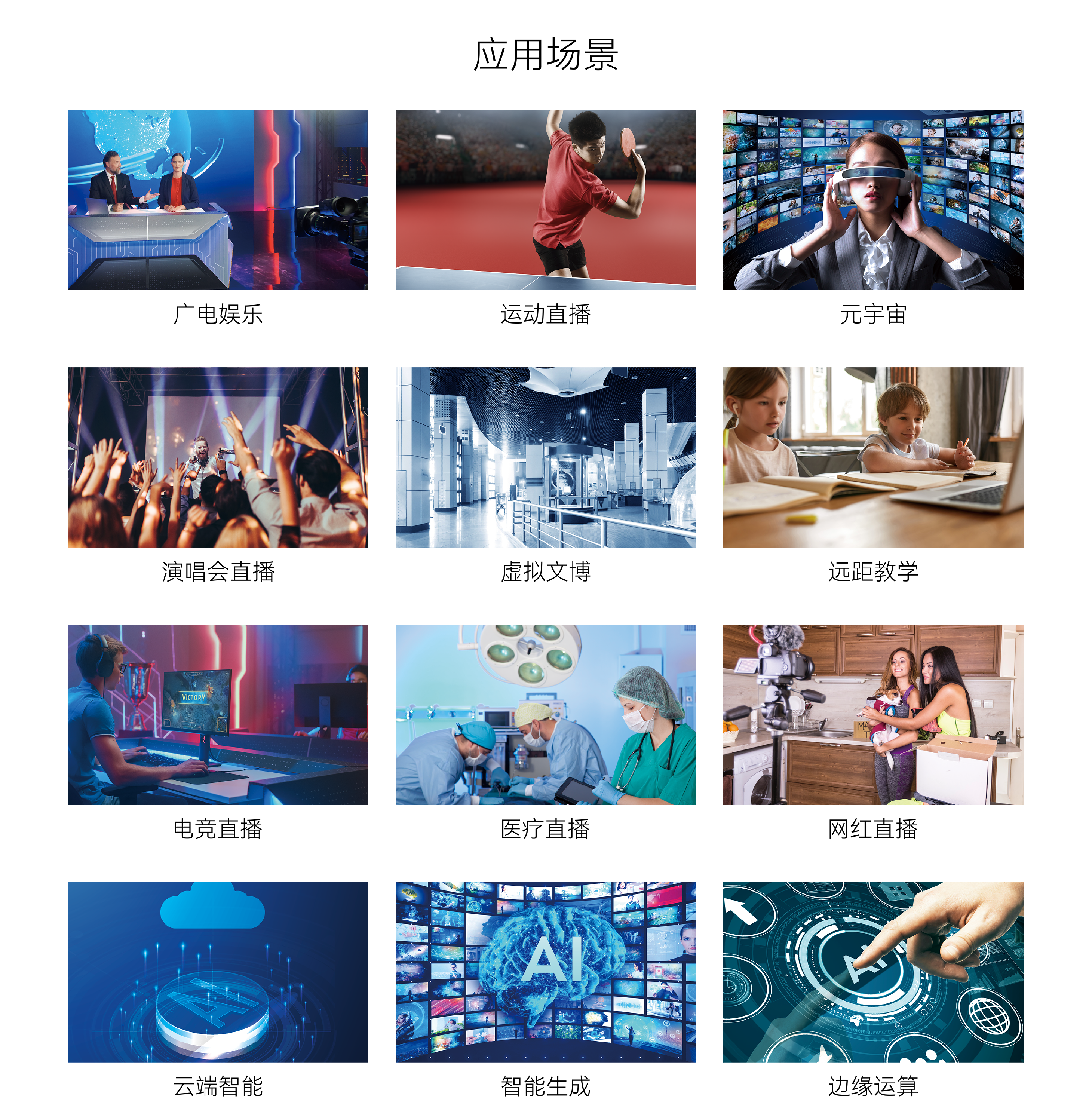 网站产品页面12.png