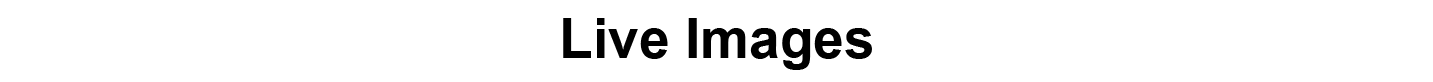 1757992001103343.png